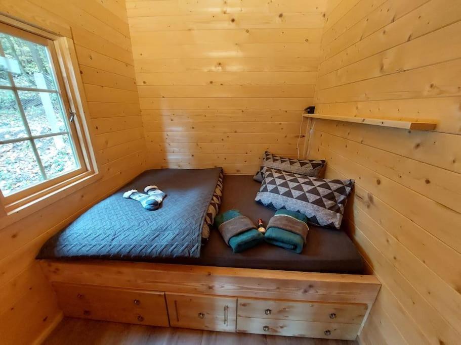 Tiny House Am Teich Daire Garnsdorf Dış mekan fotoğraf